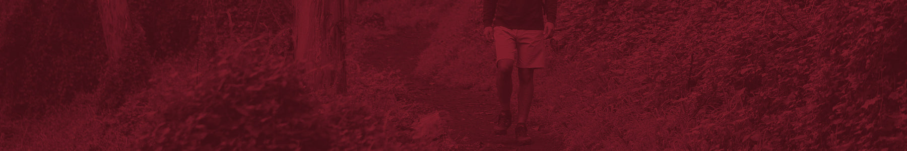 Gifts for The Trailblazer