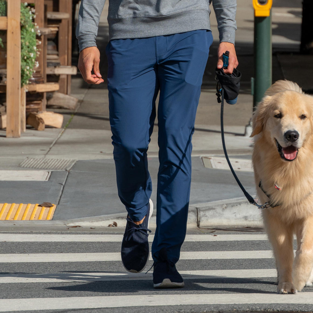 Everyday Pant in River from Myles Apparel